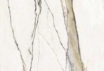 Gold Calacatta