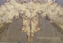 Patagonia Gold Polished Quartzite